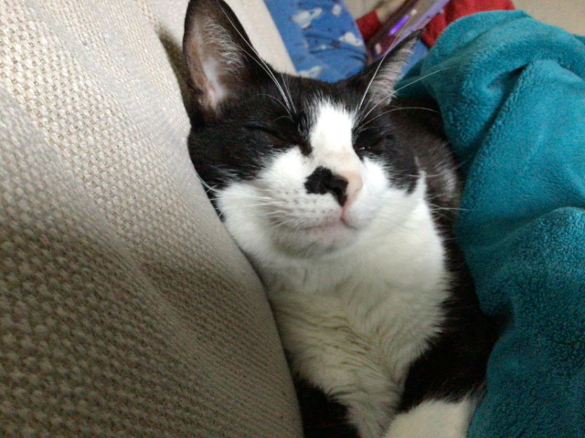 error 404- no image found